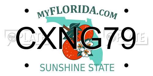 CXNG79 Florida License Plate