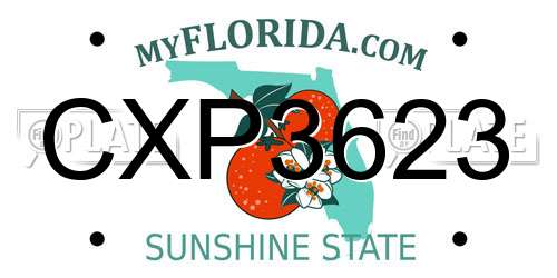 CXP3623 Florida License Plate