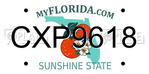 CXP9618 Florida License Plate