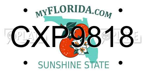 CXP9818 Florida License Plate