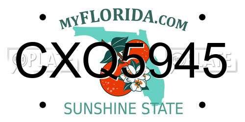 CXQ5945 Florida License Plate