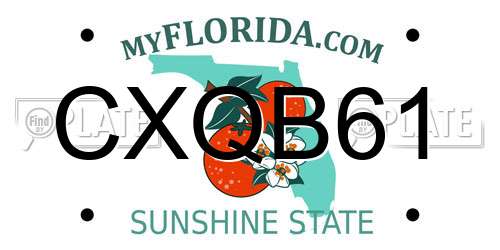 CXQB61 Florida License Plate