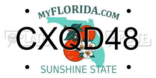 CXQD48 Florida License Plate