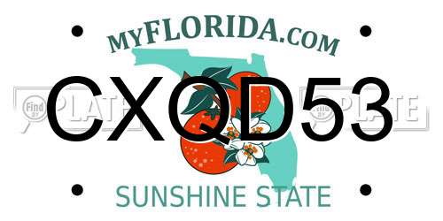 CXQD53 Florida License Plate