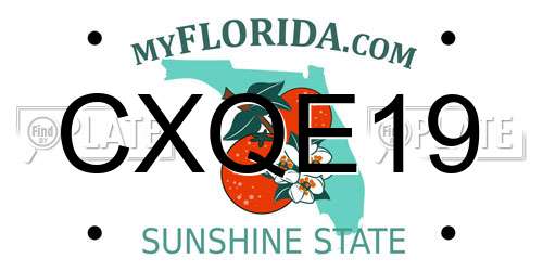 CXQE19 Florida License Plate