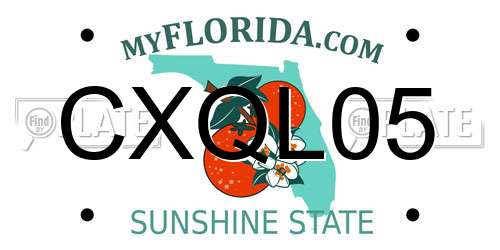CXQL05 Florida License Plate
