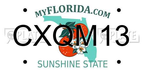 CXQM13 Florida License Plate