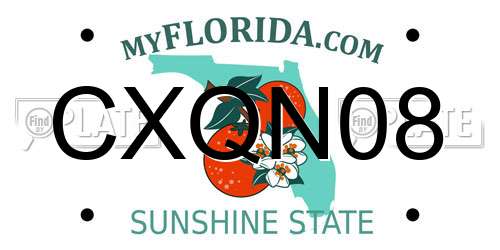CXQN08 Florida License Plate