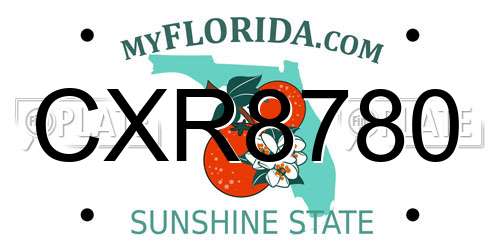 CXR8780 Florida License Plate