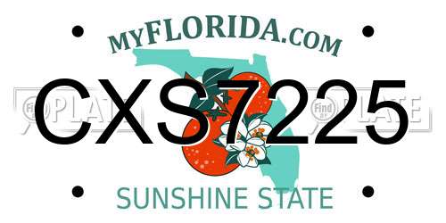 CXS7225 Florida License Plate