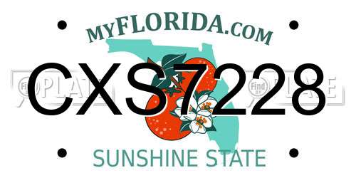 CXS7228 Florida License Plate
