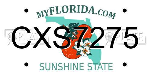 CXS7275 Florida License Plate