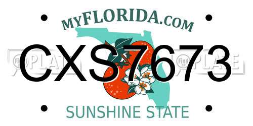 CXS7673 Florida License Plate