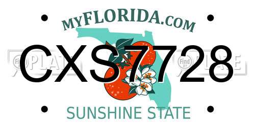 CXS7728 Florida License Plate