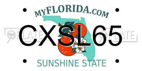 CXSL65 Florida License Plate