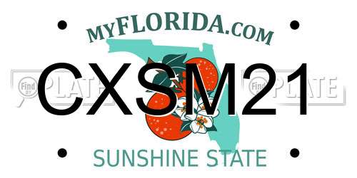 CXSM21 Florida License Plate