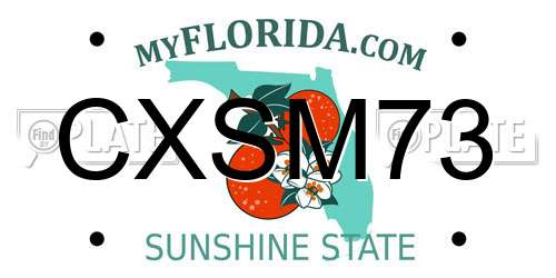 CXSM73 Florida License Plate