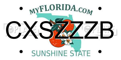 CXSZZZB Florida License Plate