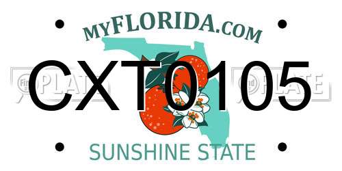 CXT0105 Florida License Plate