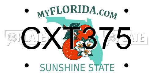 CXT375 Florida License Plate
