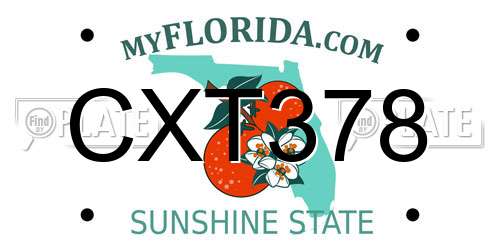 CXT378 Florida License Plate