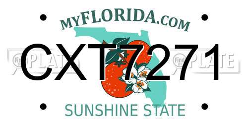 CXT7271 Florida License Plate