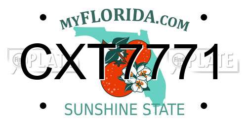 CXT7771 Florida License Plate