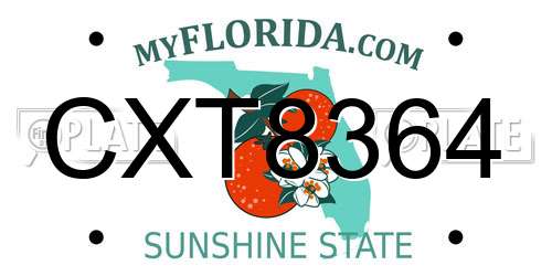 CXT8364 Florida License Plate