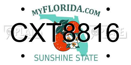 CXT8816 Florida License Plate