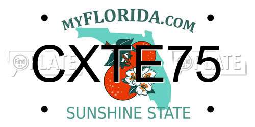 CXTE75 Florida License Plate