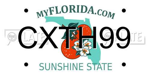 CXTH99 Florida License Plate