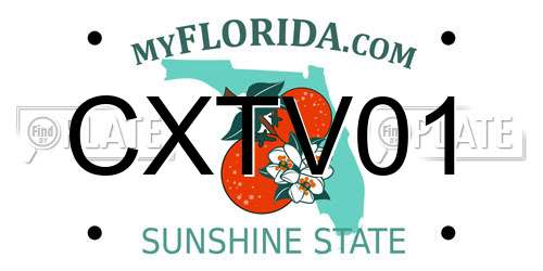CXTV01 Florida License Plate