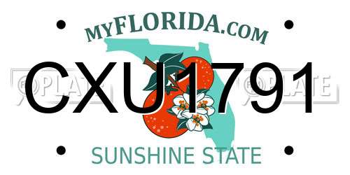 CXU1791 Florida License Plate