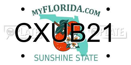 CXUB21 Florida License Plate