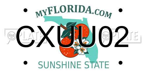 CXUU02 Florida License Plate
