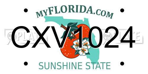 CXV1024 Florida License Plate