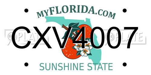 CXV4007 Florida License Plate