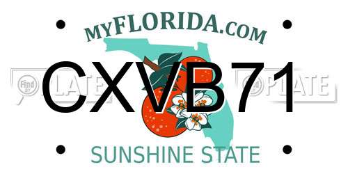 CXVB71 Florida License Plate