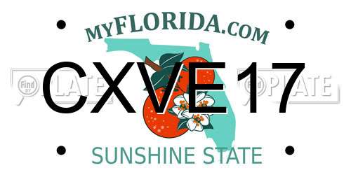CXVE17 Florida License Plate