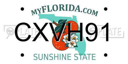 CXVH91 Florida License Plate