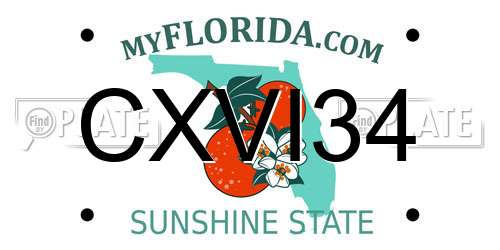 CXVI34 Florida License Plate