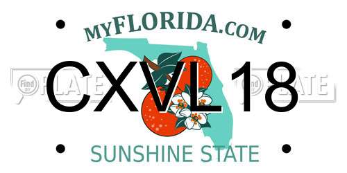 CXVL18 Florida License Plate