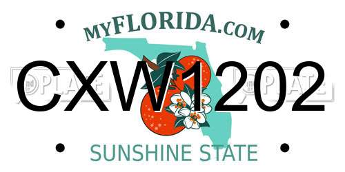 CXW1202 Florida License Plate