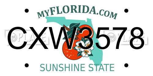 CXW3578 Florida License Plate