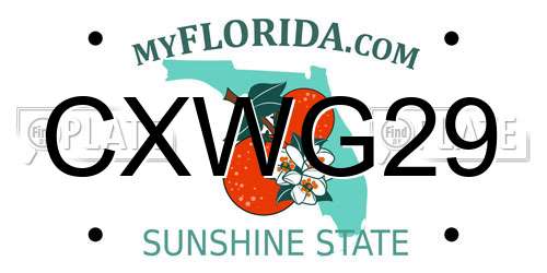 CXWG29 Florida License Plate