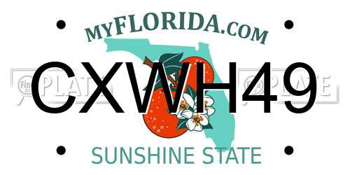 CXWH49 Florida License Plate