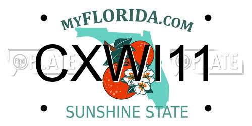 CXWI11 Florida License Plate