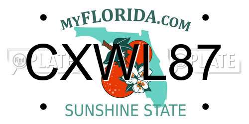 CXWL87 Florida License Plate