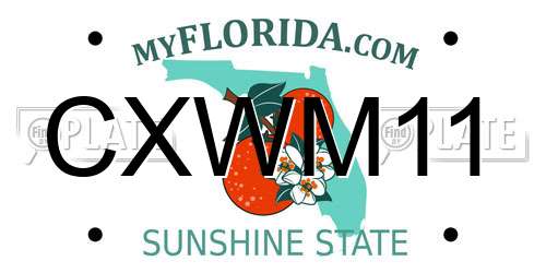 CXWM11 Florida License Plate