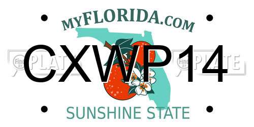 CXWP14 Florida License Plate